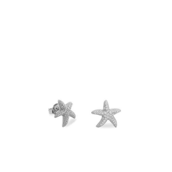 Pendientes Estrella Marina